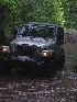 On the Trail